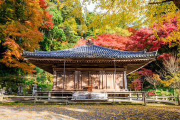 秋の富貴寺　大分県豊後高田市　Fukiji temple in autumn. Oita Pref, Bungoono City.