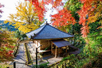 秋の富貴寺　大分県豊後高田市　Fukiji temple in autumn. Oita Pref, Bungoono City.