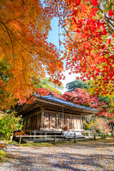 Fototapeta premium 秋の富貴寺 大分県豊後高田市 Fukiji temple in autumn. Oita Pref, Bungoono City.