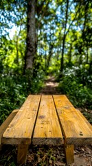 Fototapeta premium Rustic Wooden Picnic Table in Spring Forest Nature Background
