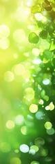 Obraz premium Lush Green Nature Background with Soft Bokeh Effect and Light