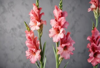 Obraz premium Fresh and vibrant watercolor gladiolus flower in bloom, vibrant hues, in blossom, freshness