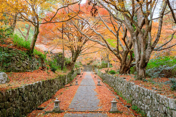 秋の両子寺　大分県国東市　Futagoji temple in autumn. Ooita Pref, Kunisaki City.