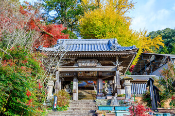 Fototapeta premium 秋の富貴寺 大分県豊後高田市 Fukiji temple in autumn. Oita Pref, Bungoono City.