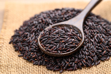 Organic rice berry or purple rice in wooden spoon, Thai rice