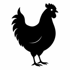 rooster isolated on white