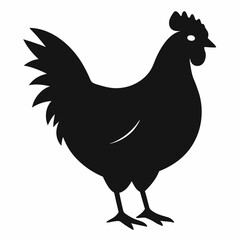 rooster isolated on white