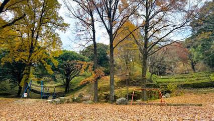 落ち葉に包まれた蛇ヶ谷公園の遊び場