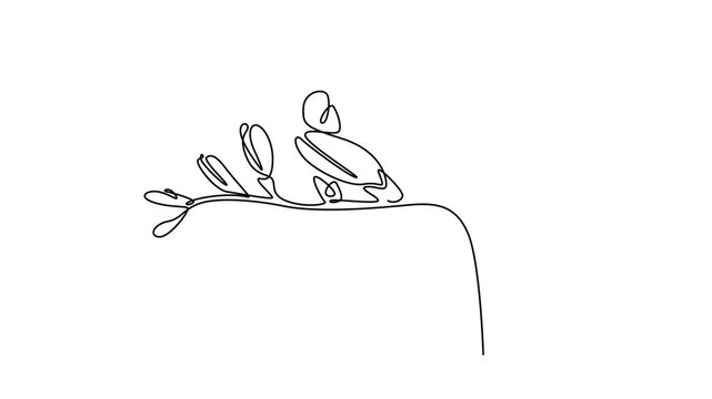 Self drawing animation of single line draw beauty fresh freesia for home wall decor art poster print. Decorative herbaceous flower concept for floral card frame. Continuous line. Full length animated