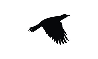 Flying Cicadabird Silhouette Design  And Vector Illustration. 