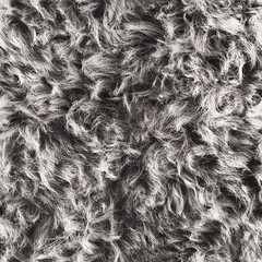 fur texture background