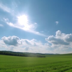 Fototapeta premium Sunny Day over Lush Green Field and Blue Sky