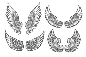 Set of white Angel wings icons Vector illustration.
