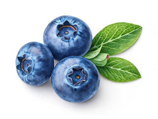 Obraz premium blueberries in a bowl. blueberry, fruit, berry, food, isolated, blue, fresh, healthy, blueberries, sweet, white, ripe, bilberry, dessert, macro, diet, juicy, organic, berries, nature, closeup, delicio