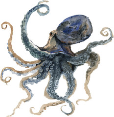 Fototapeta premium This artwork illustrates a beautifully detailed octopus with swirling tentacles in various shades of blue and gray