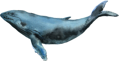Watercolor Whale gracefully gliding underwater in a serene ocean environment during daylight, showcasing its serene nature and beauty