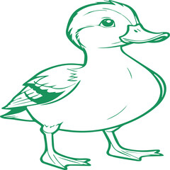 duck line art with colorful