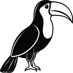Clean Toucan silhouette vector illustration, Toucan line art vector, Toucan vector design