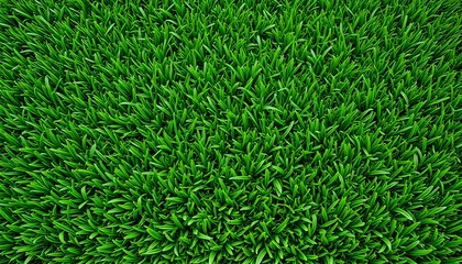 Tableaux sur Plexiglas Vibrant green grass blades, close-up texture, lush lawn, detailed grass pattern, high resolution, crisp focus, natural background, fresh spring growth, manicured turf