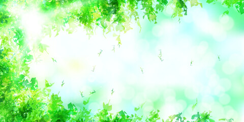 Fototapeta premium 新緑 葉 風景 背景