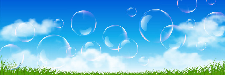 空　新緑　風景　背景