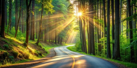 A serene road winding through a forest with sunlight filtering through the trees, nature path