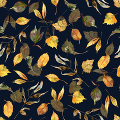 Autumn leaves on dark blue background watercolor seamless pattern. Illustration botanical background.
