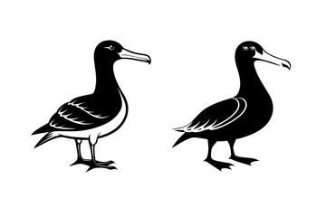 vector-silhouette-of-albatross-0