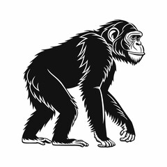 vector-silhouette-of-chimpanzee