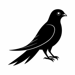 vector-silhouette-of-cuckoo 