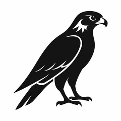vector-silhouette-of-falcon 1