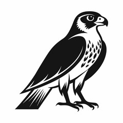 vector-silhouette-of-falcon