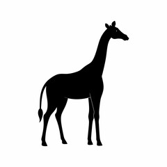 vector-silhouette-of-horse  2