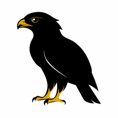 vector-silhouette-of-hawk 1