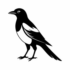Obraz premium vector-silhouette-of-magpie