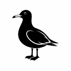 vector-silhouette-of-seagull-(1)