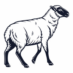 
vector-silhouette-of-sheep
