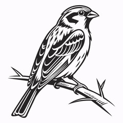 vector-silhouette-of-sparrow