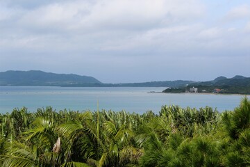 A panoramic view of Nagura Bay from the hill
