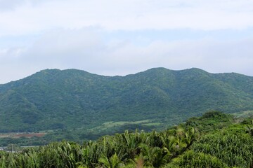 Obraz premium Mountain range of Ishigaki Island