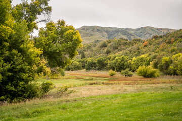 scenic valley with lush trees and hills, featuring rolling greenery and a tranquil natural setting perfect for outdoor and landscape photography utah provo canyon