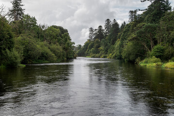 Obraz premium The River Cong and the forest of Cong near the locality of Cong, Ireland, with calm waters reflecting the overcast sky and dense, lush greenery on both sides
