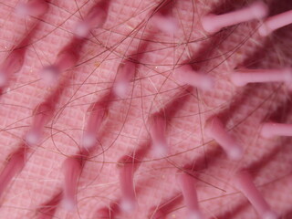 A close up of a pink brush with many bristles
