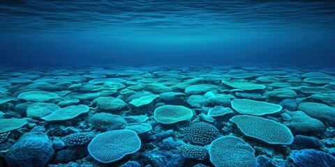 Ocean water surface concept. Underwater scene featuring vibrant coral reefs in blue waters.