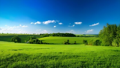 Fototapeta premium landscape with green grass and blue sky background