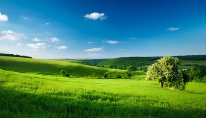 Obraz premium landscape with green field and blue sky