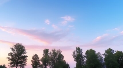 Fototapeta premium Pastel Sky Hues Over Silhouetted Treescape