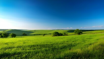 Fototapeta premium green field and blue sky background
