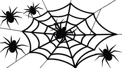 Spiders Crawling on a Web