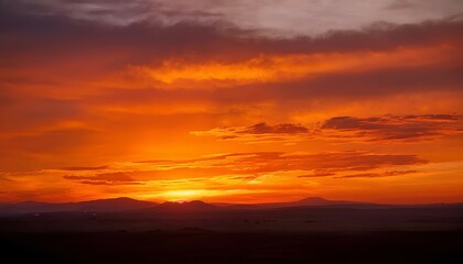 red sunset sky. sunset in the forest. sunset in the sky